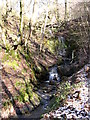 Waterfall Redisher Woods