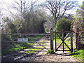 Bridleway from Gallows Corner to Fontmell Parva