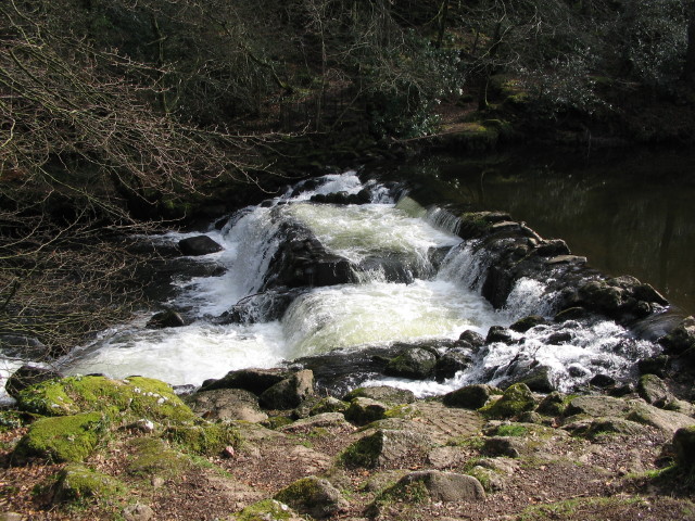 Weir on the River Teign