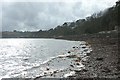 Carrick Roads, the foreshore below Porthgwidden