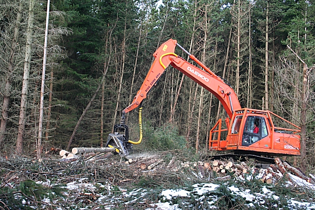 Tree harvester