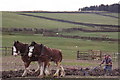 Farmer ploughing with horses