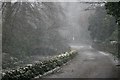 Grisedale Beck Bridge, Spring Snowstorm