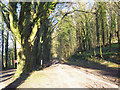 Bridleway to Asserton Farm