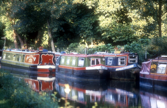 Narrowboats on River Wey at Farncombe