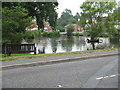 Hanley Swan Village pond