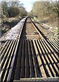 Single Train Track at Frost Lane Crossing.