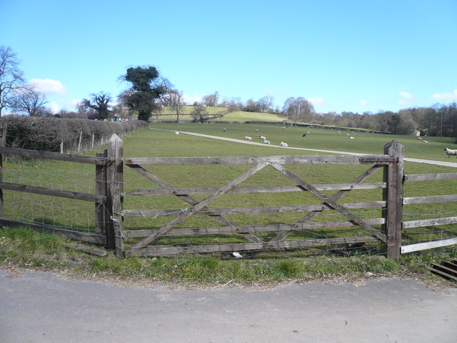 View from Entrance to Woodcock Delph