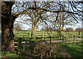 Oak by Brook Farm track