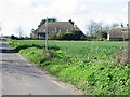 Houses at Old Tree