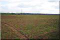 Farmland near Newbold