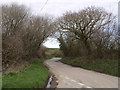 Lane near Boasley