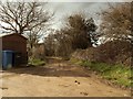 Bridleway, close to Arger Fen