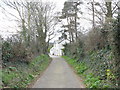 Cottages on a country lane