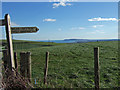 Coastal Path Meets the Broadmayne Road