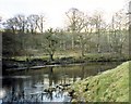 The River Nith in the grounds of Friars Carse Hotel