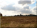 Ploughed field, distant treeline and big sky