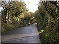 The Road through Starrick Moor