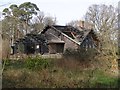 Burnt-out log cabin, Hin Cheslea, New Forest