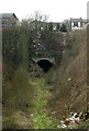 Disused Railway Track and Tunnel, Carlisle Road