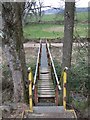 Footbridge over Burn of Cluny