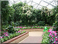 Inside the Glass House in Pudsey Park