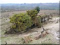 SU1813 : Disused rifle range butts on the northern side of Hampton Ridge, New Forest by Jim Champion