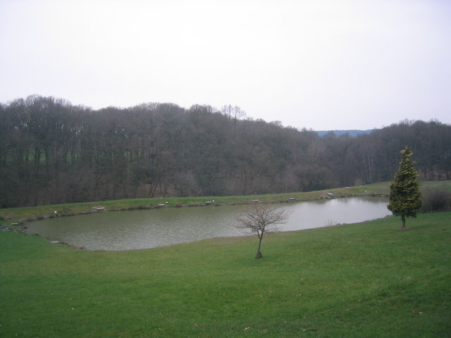 Stocked Trout Fishing Pond in Far Forest