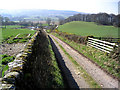 The road to Shawsholm Farm