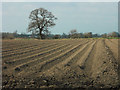 SK2628 : Ploughed field near Egginton by Jerry Evans