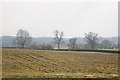 Field Adjacent to Hollies Common