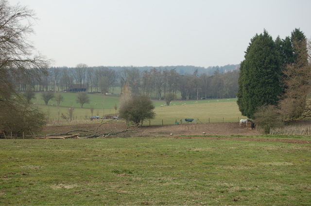 Fields north of Wyfold Lane