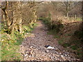 Green Lane in Cwm Cynwyn