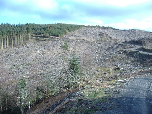 Logging operation on the slopes of Foel Goch