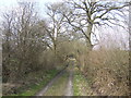 Track to Yew Tree Hall