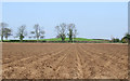 Time to Plant the Spuds!! Near Shipley, Shropshire