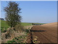 Bridleway To East Heslerton Wold