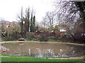 Clanfield Village Pond