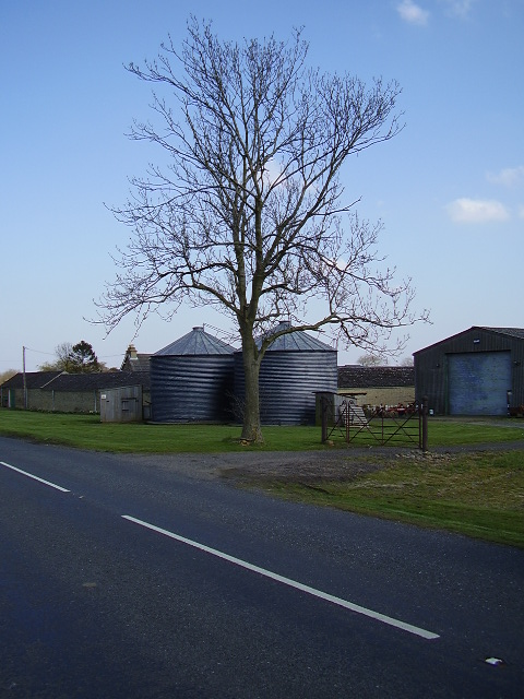 Washingley Hall Farm - trade side
