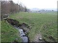 Brook and sheep pasture