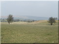 View north to Hergest Ridge