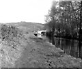 Monmouthshire and Brecon Canal, Yard Bridge No 131