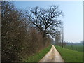 The drive to Hankerton Field Farm