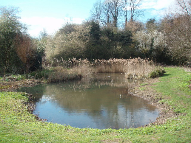 Pond by Valley Road, Welwyn Garden City