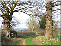 Public Footpath, near Four Ashes, Staffordshire