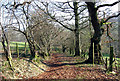 Hen  ffordd y mynydd. An old mountain road.