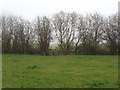 SP5719 : Field, hedge and footbridge by David Hawgood