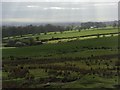 Pastures, King Water valley