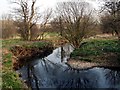 The River Dearne