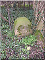 Boundary stone, Castley Lane, Castley